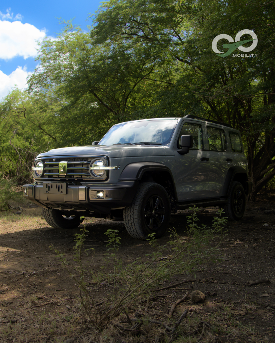 Tank 300- Single Image